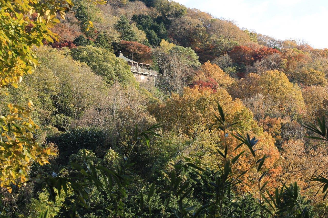 山寺を囲む秋